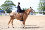 SBM_03250