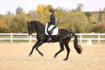 SBM_009634