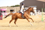 SBM_001748