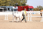 SBM_22761