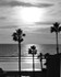 California Sunset