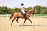 SBM_002238