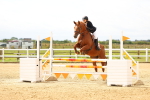 SBM_009281