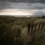 The Breach