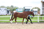 SBM_03896
