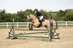 SBM_003520