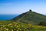 Rame Head