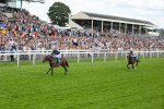 290723-Race 4-Blue Prince-3936