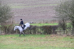 WJ6_5328