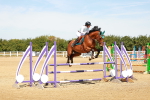 SBM_003085