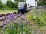 Norway Andalsnes Rauma Railway returning 3