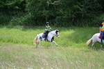 WJ7_8775