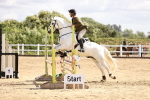 SBM_007272