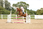 SBM_002983