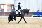 SBM_002295