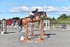 BPP_4671