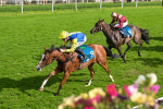 230824-Race 5-Canoodled-9754