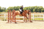 SBM_003995