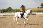 SBM_06838