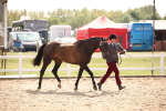 SBM_07049