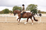 SBM_02847