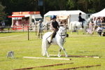 SBM_12633
