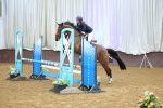 SBM_009951