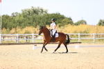 SBM_012371