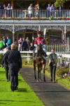 230923-Race 5-Vintage Clarets-6821
