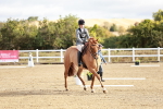 SBM_009088