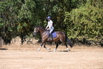 WJ6_7823