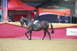 SBM_10667