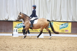 SBM_009131