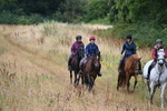 WJ6_2006