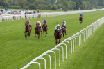 170524-Race 4-Giavellotto-2191