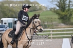 BPP_1137