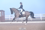 Class 5, FEI PSG Silver portfolio