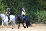 WJ6_9118