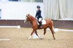 SBM_000672