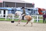 SBM_006998