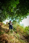 DSCF4771