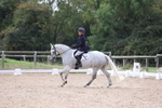 British Dressage portfolio