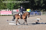 BPP_8146