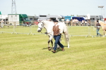 SBM_01676