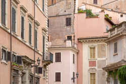 Palombella
