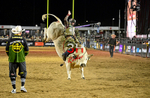 3HRodeo_PBR_TEAMS_JUL_2026_1583