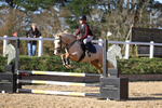 Class 12: Pony British Novice portfolio