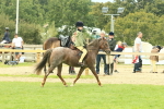 SBM_69953