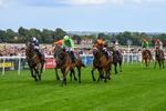 300826-Race 2-Jm Jungle-9661