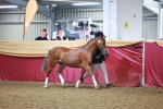 SBM_14668